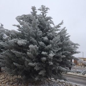 Meet your Posher, Trang